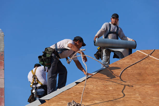 Best Storm Damage Roof Repair  in Tell City, IN