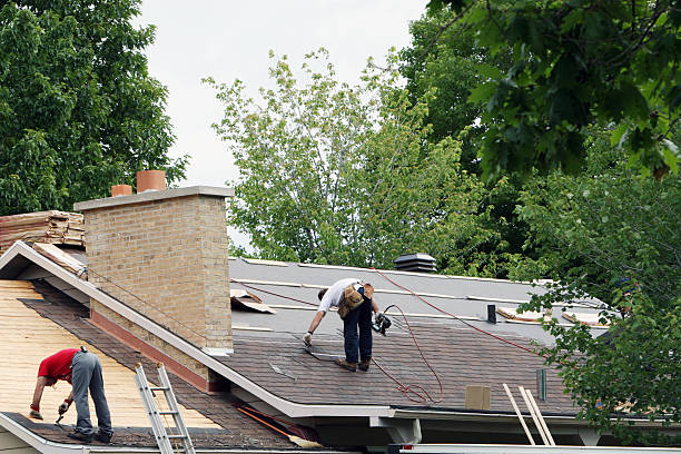 Best Roof Maintenance Services  in Tell City, IN