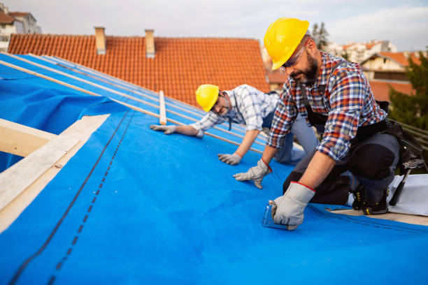 Best Emergency Roof Repair  in Tell City, IN
